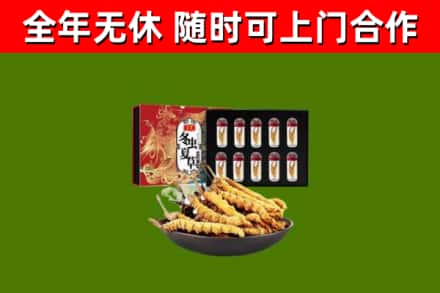 新余烟酒回收冬虫夏草礼盒.jpg